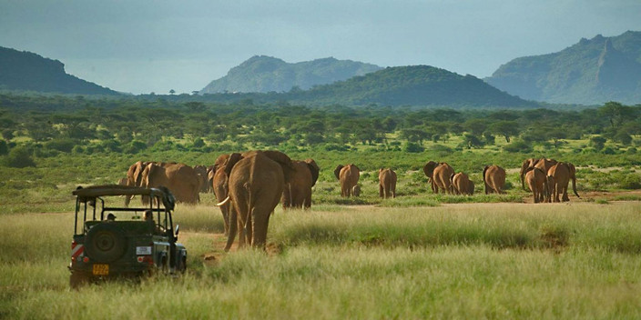 Samburu – Wildlife Encounters