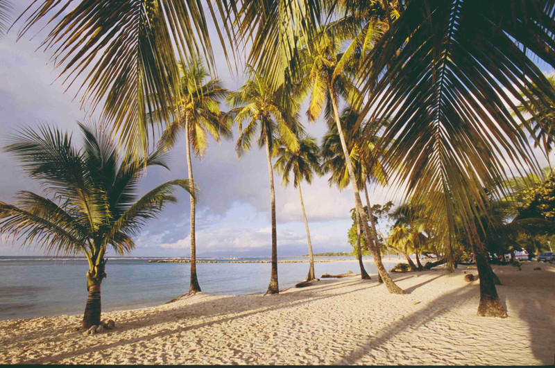 Coquillages et crustacés en Grande Terre