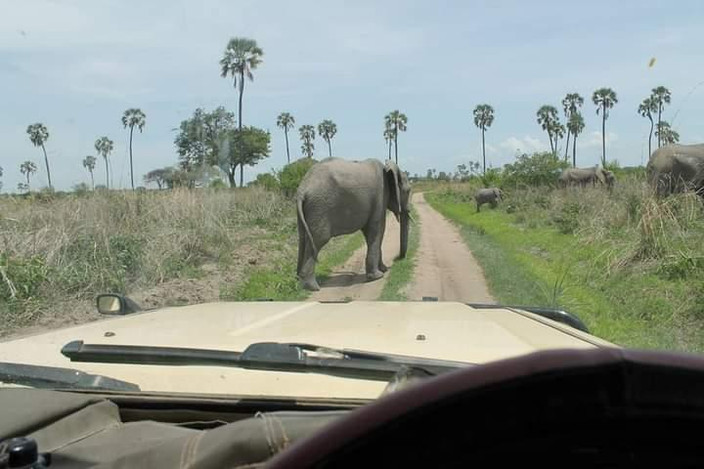 Selous Game Reserve - Dar es Salaam
