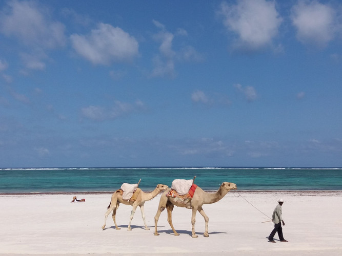Plage Diani