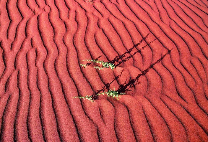 Wadi Rum - Mer Morte