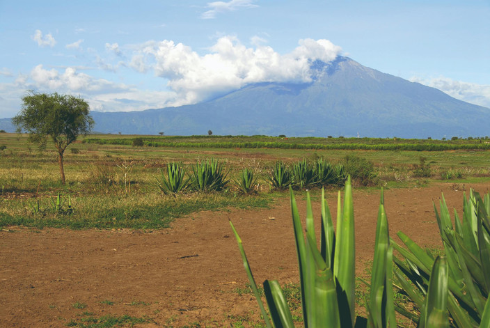 Mweka camp (1800m) - Arusha
