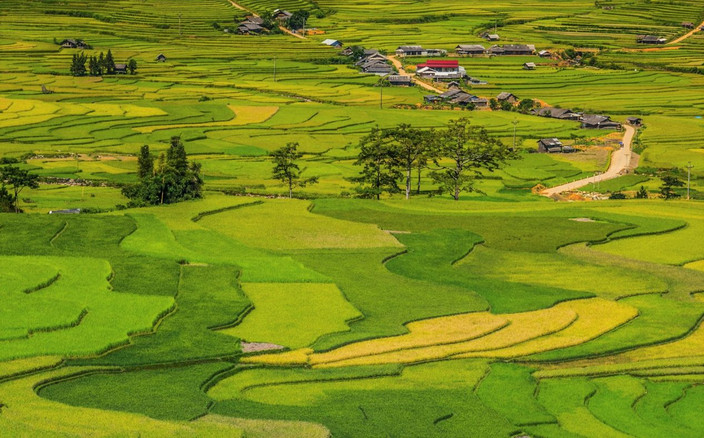 Mu Cang Chai- Découverte des rizières en terrasse