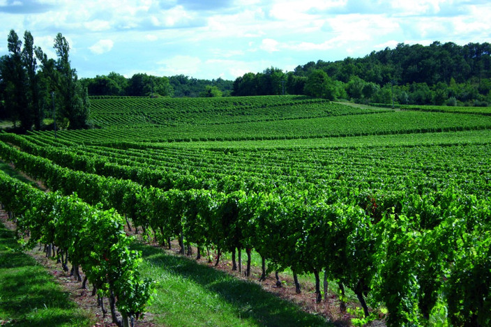 SAINT EMILION