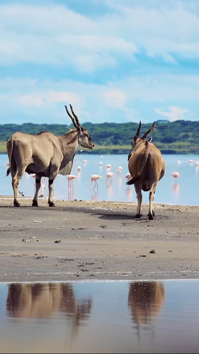 Ngorongoro Crater