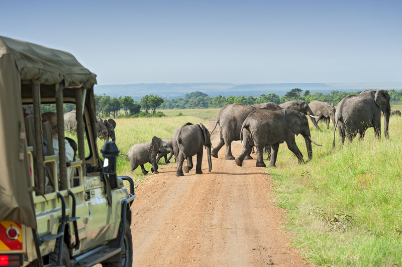 Réserve de chasse du Masai Mara