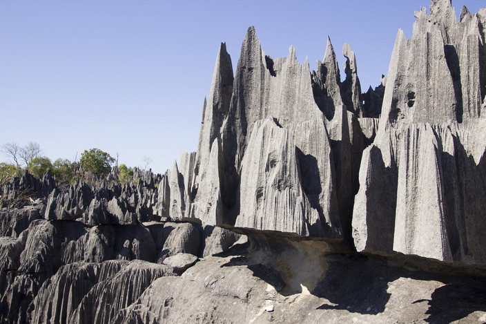 Visite des Grands Tsingy de Bemaraha