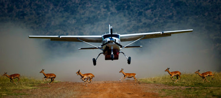 Fly to Maasai Mara – Enter the Iconic Savannah
