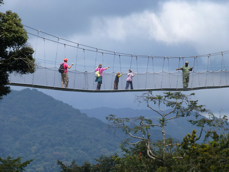 Transfert au parc national de Nyungwe