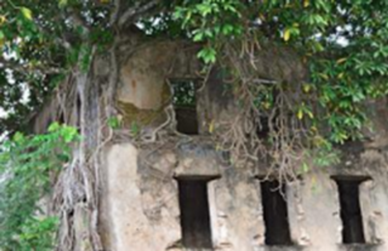 Tour de l'ile de Nosy Be - Mont Passot