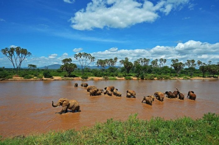 Nairobi to Samburu National Reserve