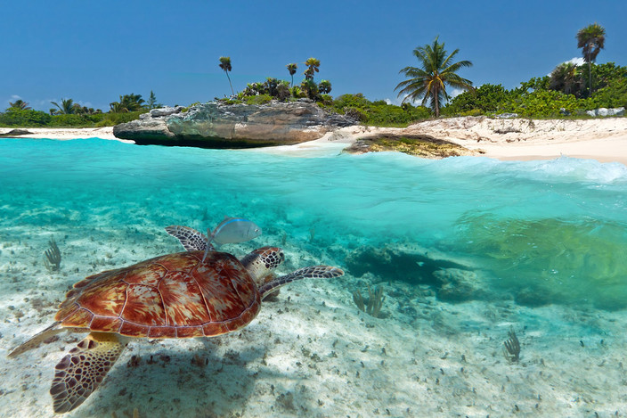 Jour 7 - PLAYA DEL CARMEN