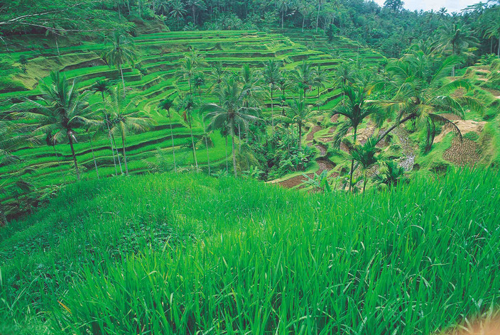 Ruteng vers Labuan Bajo