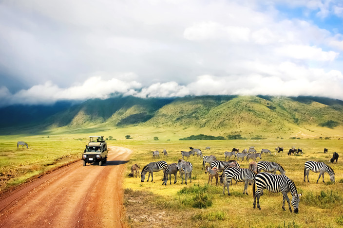 Serengeti National Park Gam Drive