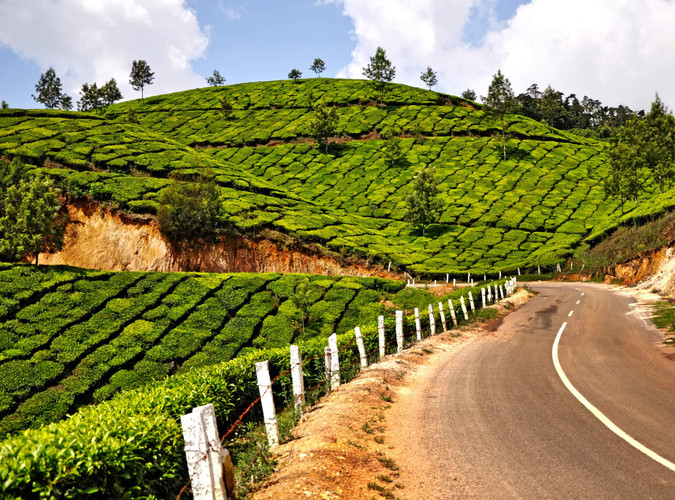Visite de Munnar