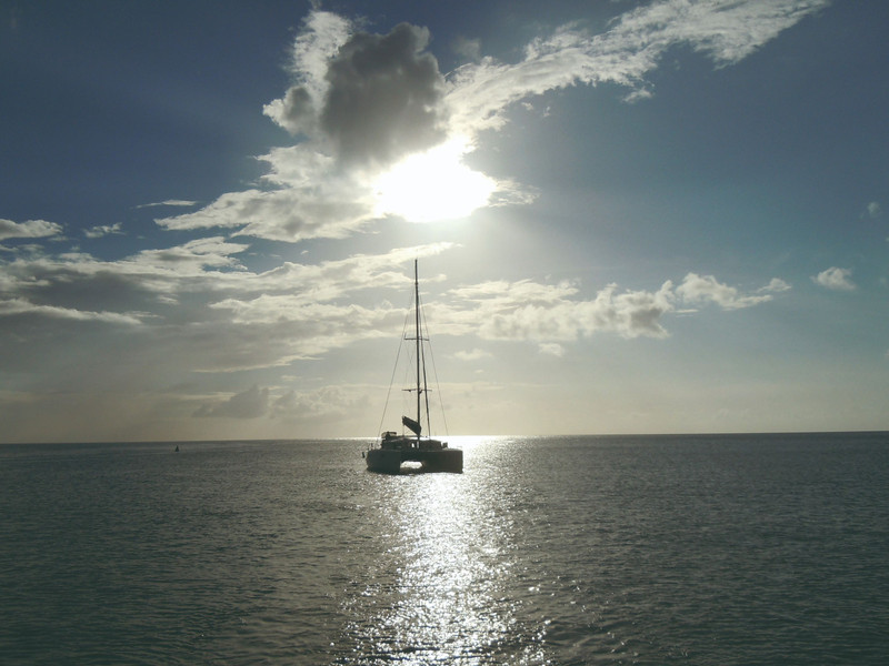 Journée Catamaran