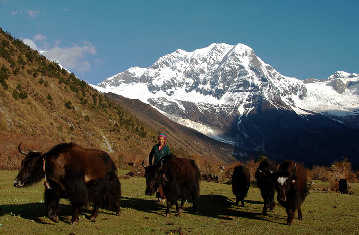 Dingboche à Gorakshep