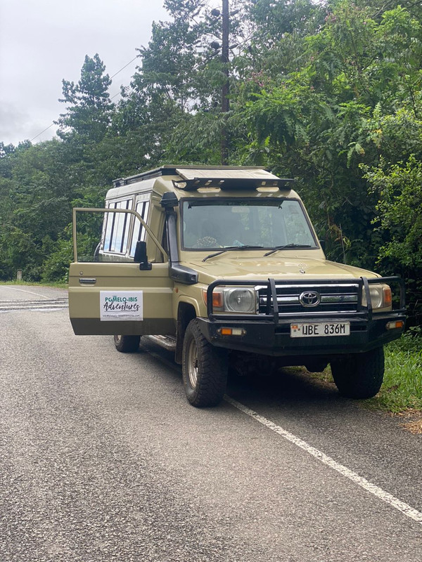Transfert au parc national de Kibale pour les chimpanzés