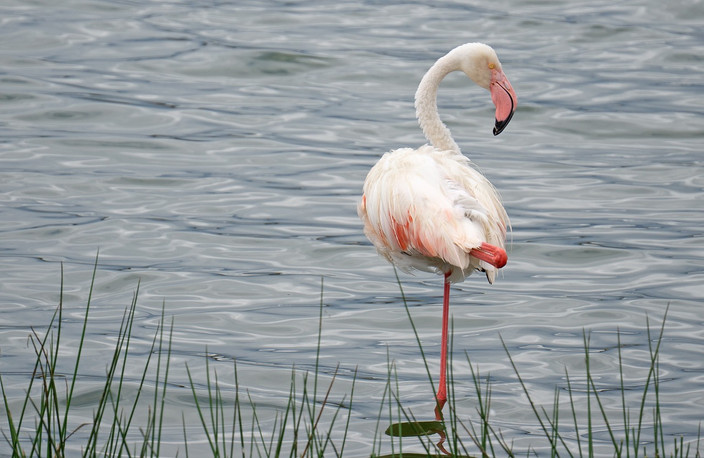 Parc national de Tarangire