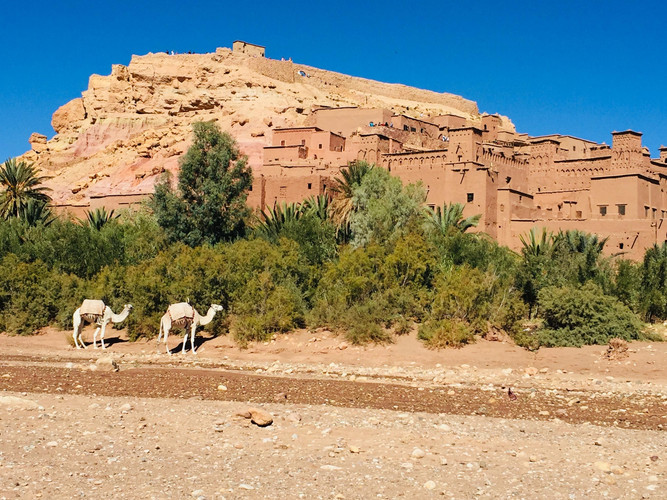 Marrakech → Ait Benhaddou → Ouarzazate → Dades Valley