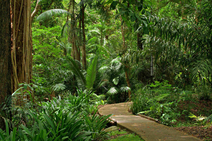 Port Douglas - Aéroport de Cairns