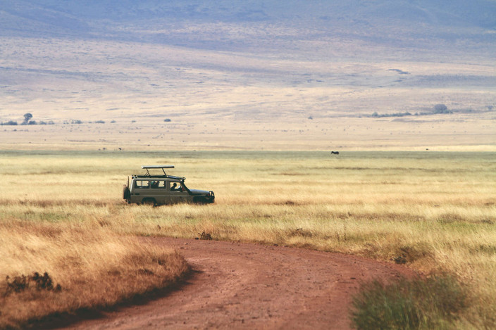 Observation du cratère du Ngorongoro