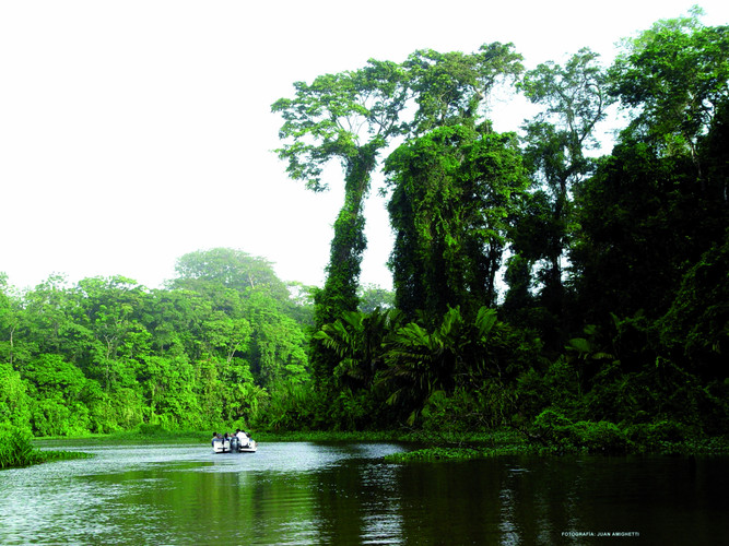 Tortugero, l'Amazonie du Costa Rica