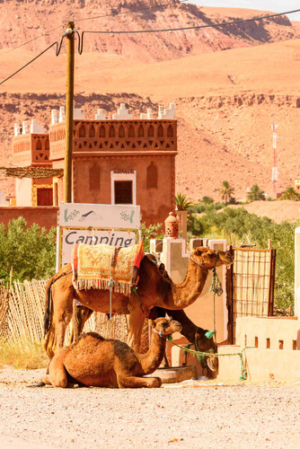 Marrakech --- col de Tichka ----Ouarzazate ---Vallée des roses.