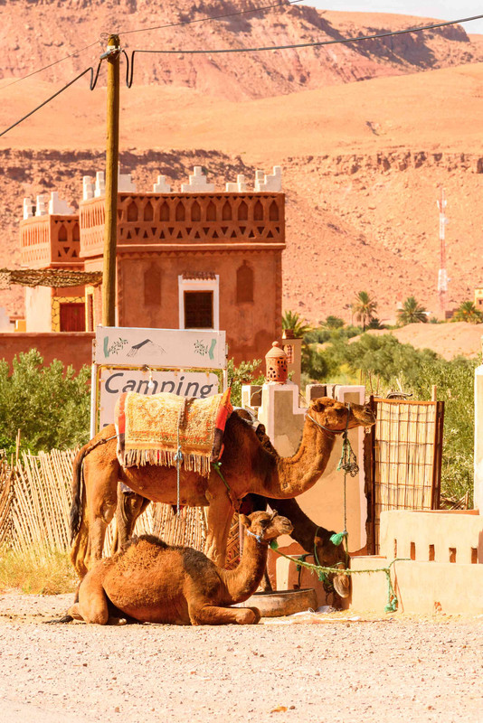 Marrakech --- col de Tichka ----Ouarzazate ---Vallée des roses.