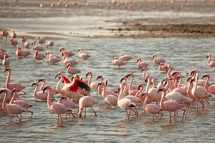 SWAKOPMUND - WALVIS BAY - SWAKOPMUND