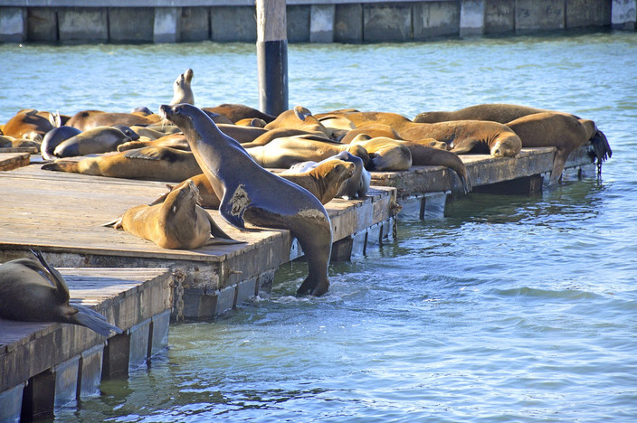 San Francisco