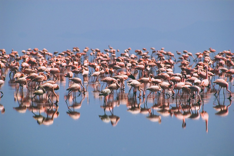 Lac Natron