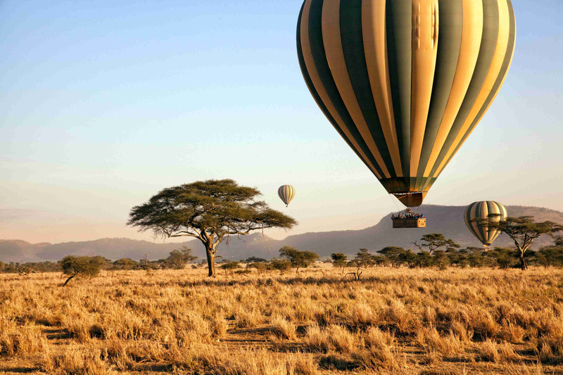 Départ pour le Serengeti de renommée mondiale