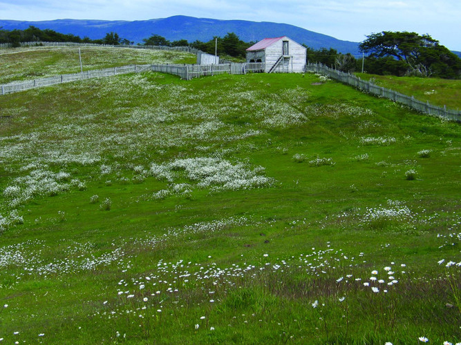 Domos de la Estancia