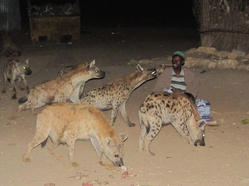 Harar ville chargée d histoire