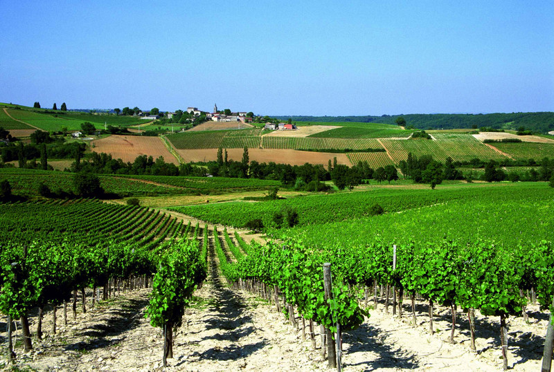 Vignobles et châteaux
