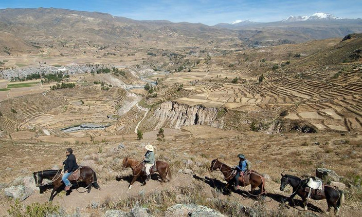 Canyon de Colca