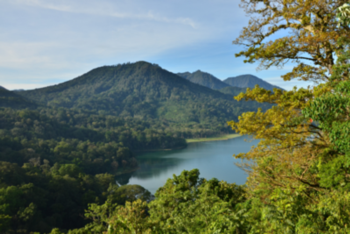 Cheminer vers Ubud