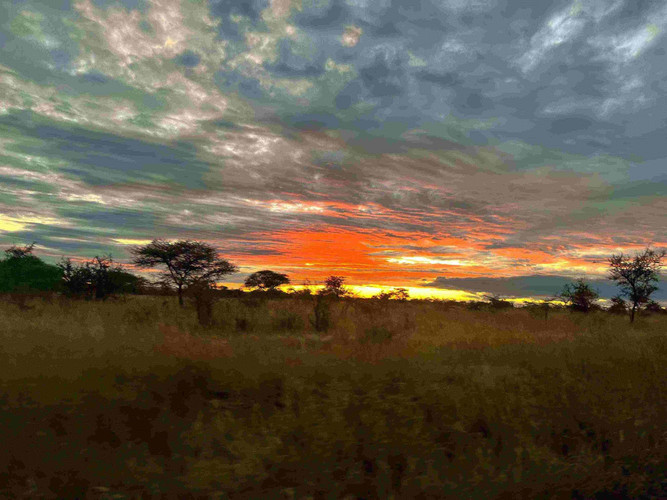 Serengeti