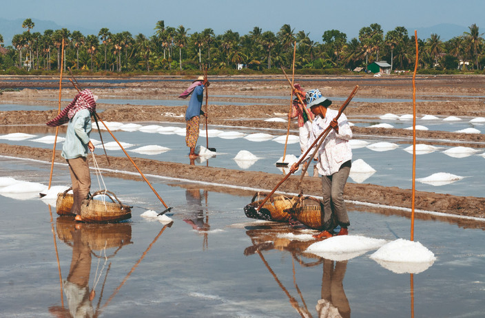 Kampot et la plantation de poivre