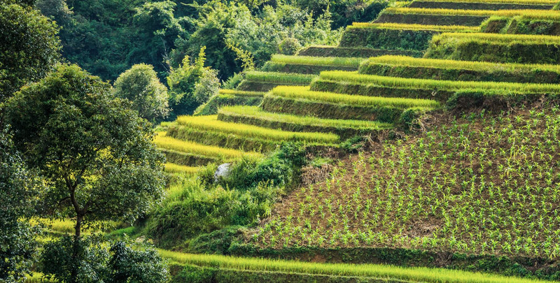 MAI CHAU - PU LUONG