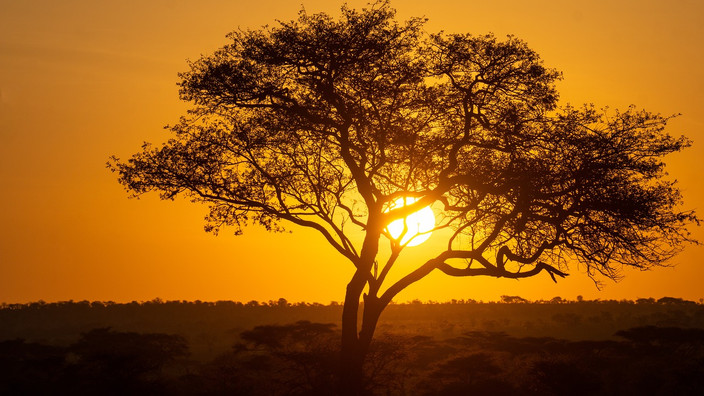 Serengeti - Lac Natron