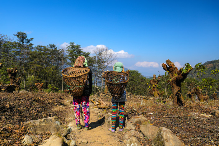 A Shillong - Excursion d'une journée à Cherrapunjee