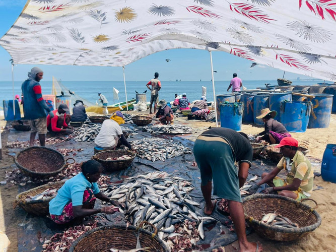 Bienvenue au Sri Lanka