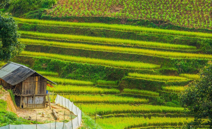 Hanoi- Nghia Lo- Tu Le et Mu Cang Chai