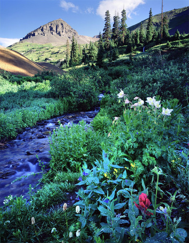 La Million Dollar Highway