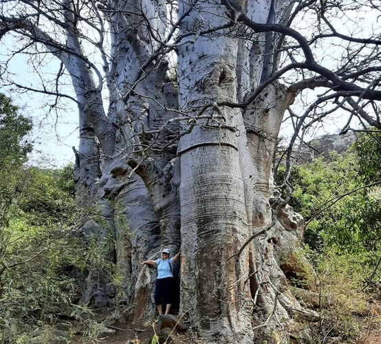 Randonnée dans la vallée de Ribeira Grande et la vieille ville