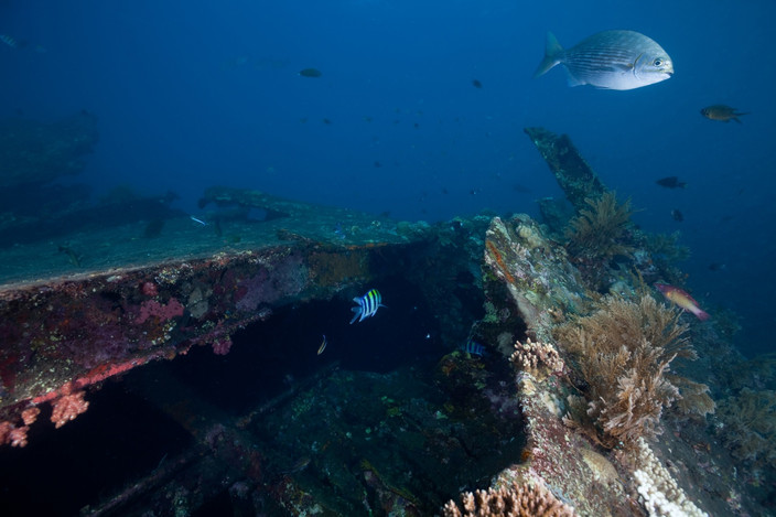 Riung et le parc marin de Taman Laut