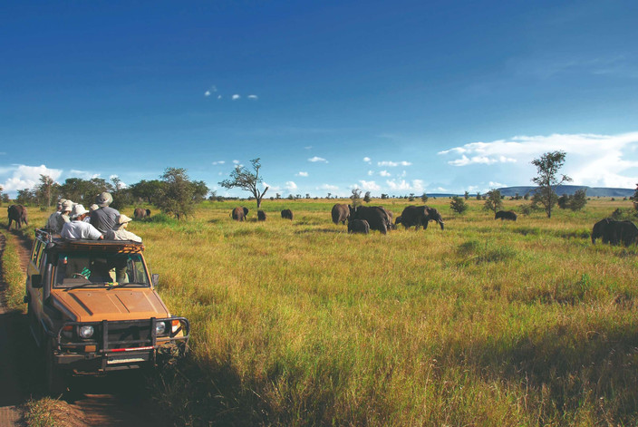 Safari - Parc national de Serengeti