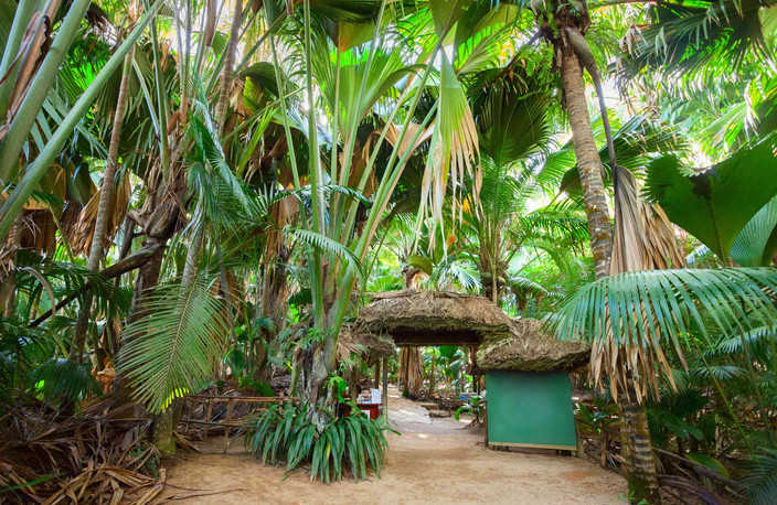 Nuit à Praslin - Duc de Praslin - Hôtel 4 étoiles (chambre double deluxe)